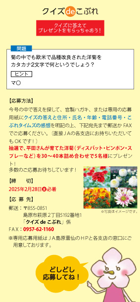 クイズdeこぶれ